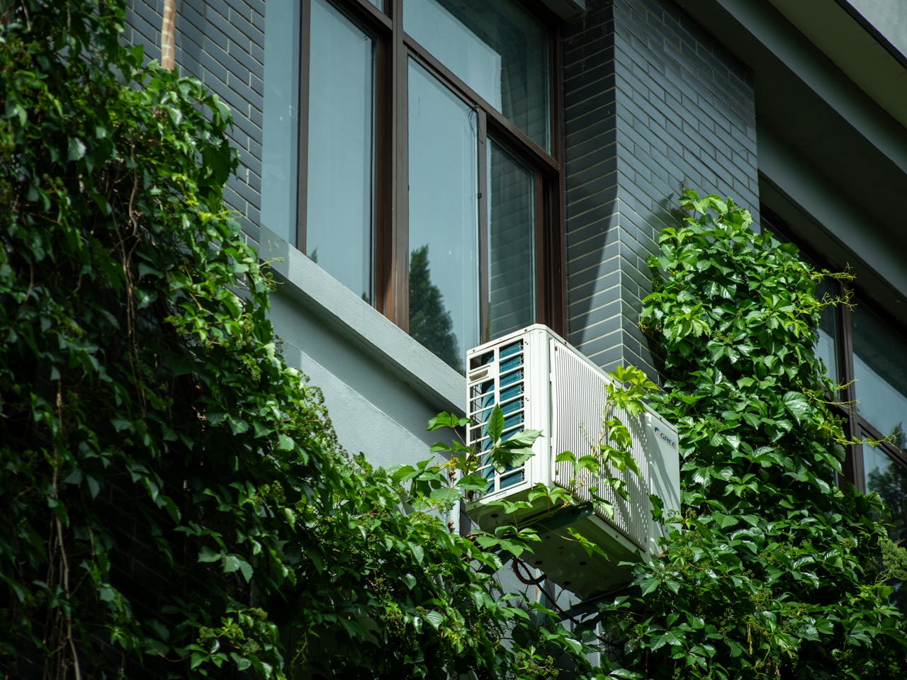 Air conditioner unit on an ivy-covered building wall, blending nature and technology.